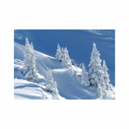 Foto tapet Heavy snow - Img 2