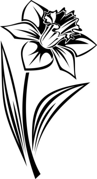 Sticker De Perete Floare De Colt Solo - Img 5