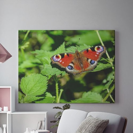 Tablou Canvas Fluture Pe Frunze