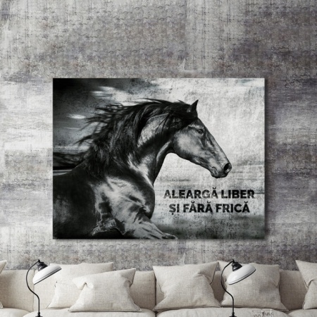 Tablou Motivational - Alearga Liber - Img 2