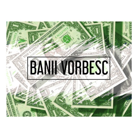 Tablou Motivational - Banii Vorbesc - Img 4