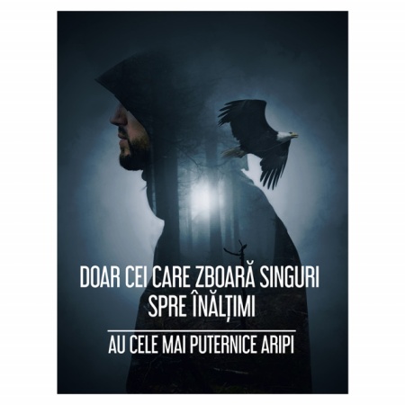 Tablou Motivational - Doar Cei Care Zboara Singuri - Img 3