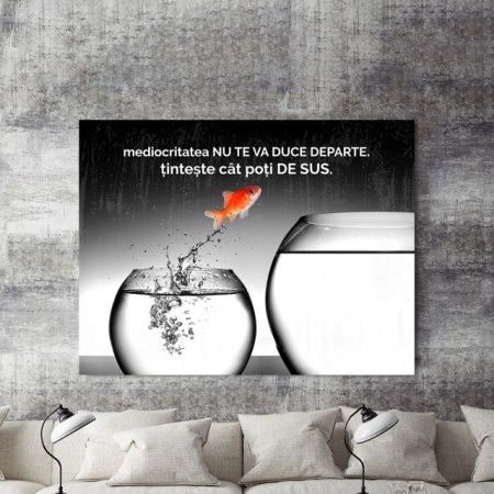 Tablou Motivational - Mediocritatea Nu Te Va Duce Departe - Img 2