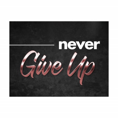 Tablou Motivational - Never give up (bronze) - Img 2