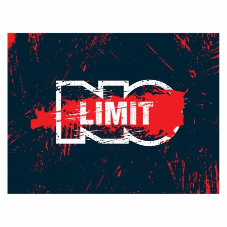 Tablou Motivational - No Limit - Img 4