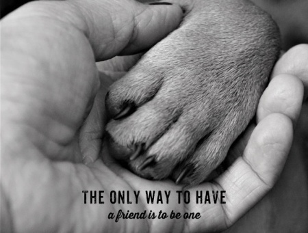 Tablou Motivational - The Only Way To Have A Friend - Img 4