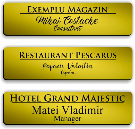 Ecuson personalizat gravat cu nume si/sau logo 8x2cm, auriu - Img 7