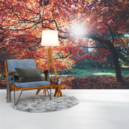 Foto tapet Autumn tree - Img 3