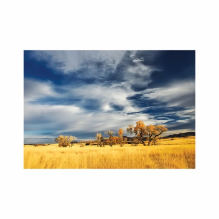 Foto tapet Grassland - Img 3
