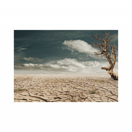 Foto tapet Tree in the desert - Img 2