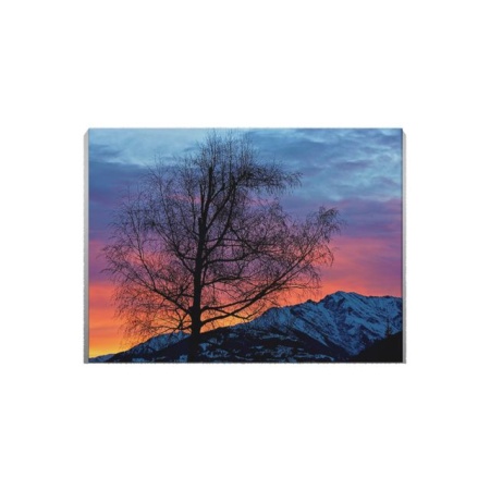 Tablou Canvas Copac Singuratic La Asfintit - Img 3