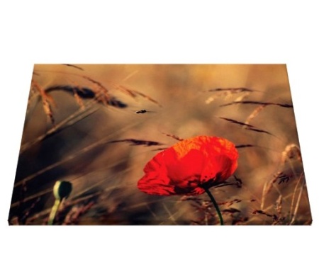 Tablou Canvas - Floare De Mac In Lan de Grau - Img 2