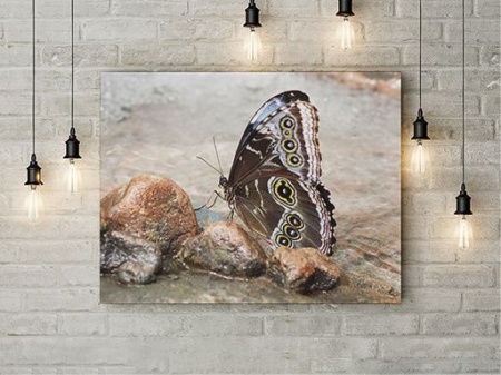 Tablou Canvas On The Wings Of A Butterfly - Img 2