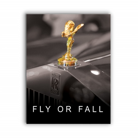 Tablou Motivational - Fly Or Fall - Img 3