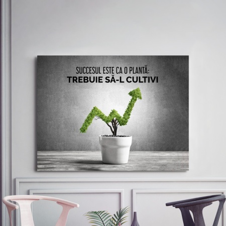 Tablou Motivational - Succesul Este Ca O Planta - Img 3