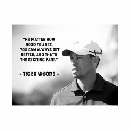 Tablou Motivational - Tiger Woods - Img 3
