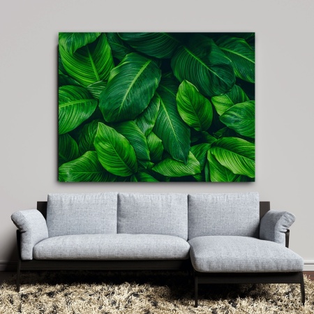 Tablou Vegetatie - Deep Green Tropical Leaves (066) - Img 5