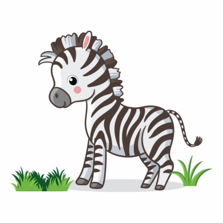 Sticker Copii Zebra - Img 2