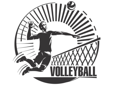 Sticker De Perete Voleyball - Img 6