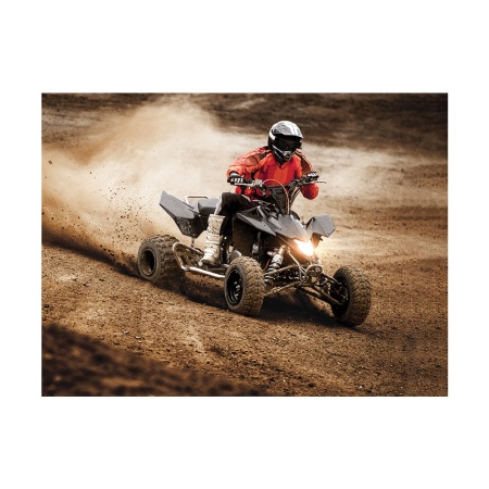 Tablou ATV dust - Img 3