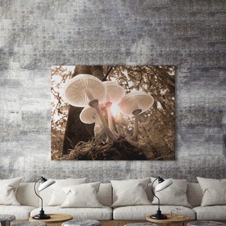 Tablou Canvas Ciuperci In Lumina - Img 4