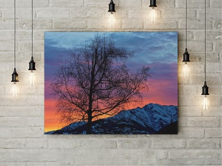 Tablou Canvas Copac Singuratic La Asfintit - Img 4
