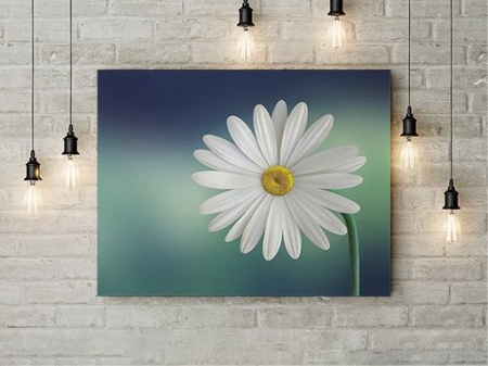 Tablou Canvas Margareta - Img 3