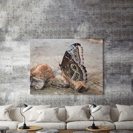 Tablou Canvas On The Wings Of A Butterfly - Img 3