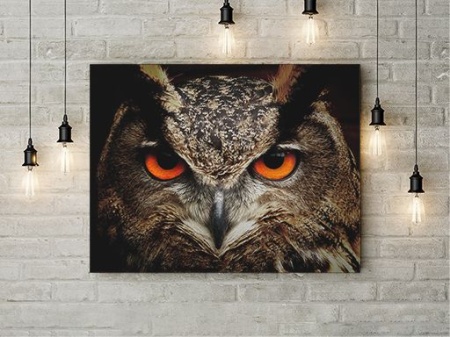 Tablou Canvas Wise Owl - Img 2