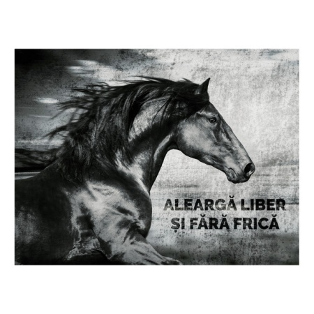 Tablou Motivational - Alearga Liber - Img 4