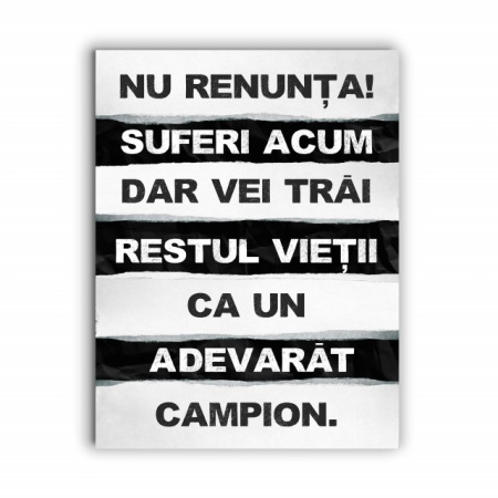 Tablou Motivational - Nu Renunta Acum - Img 3