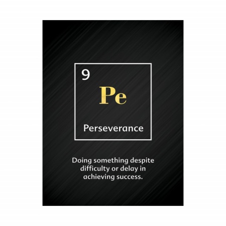 Tablou Motivational - Perseverance (element) - Img 3