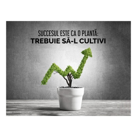 Tablou Motivational - Succesul Este Ca O Planta - Img 4
