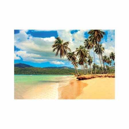 Foto tapet Palm beach - Img 3