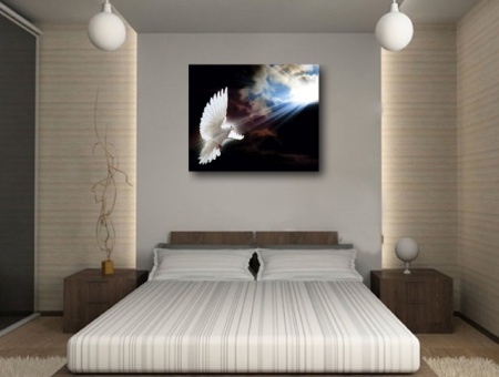 Tablou Canvas Efect Pictura - Porumbel - Img 2