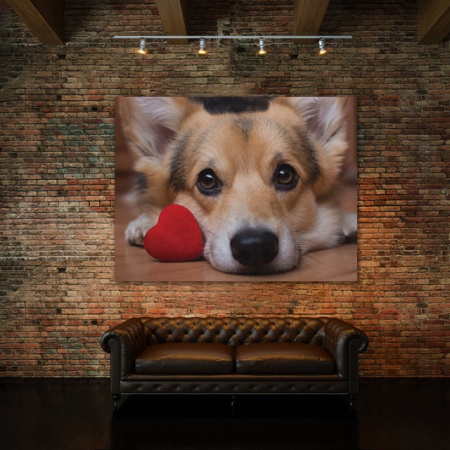 Tablou Canvas Lovely Corgi - Img 2