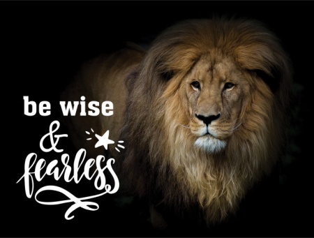 Tablou Motivational - Be Wise And Fearless - Img 3