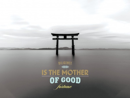 Tablou Motivational - Dilligence Is The Mother Of Fortune - Img 3