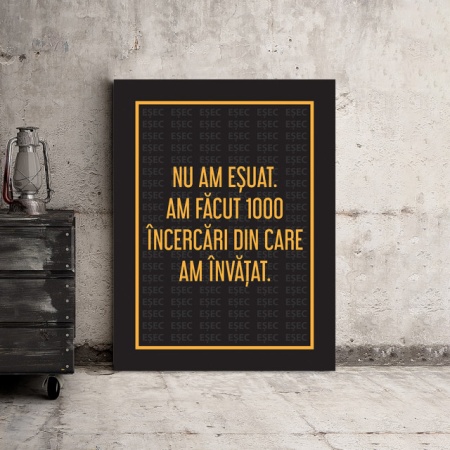Tablou Motivational - Nu Am Esuat - Img 3