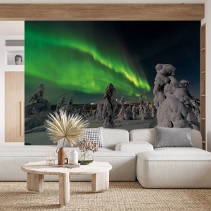 Foto tapet Aurora borealis and snow