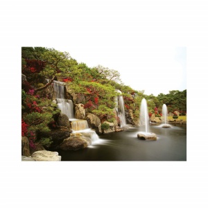 Foto tapet Azalea park - Img 2