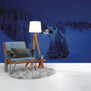Foto tapet Winter night