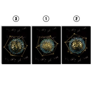 Set Tablouri Canvas - Alien Geometry - Img 2