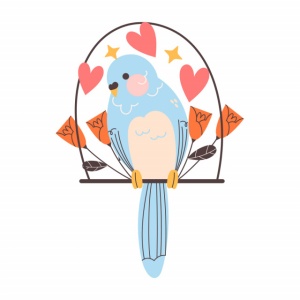Sticker Copii - Cute parrot - Img 2