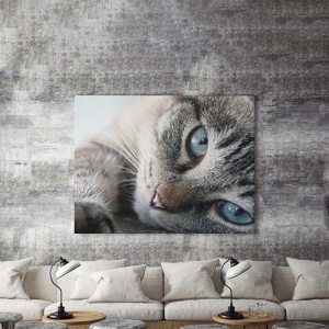 Tablou Canvas Blue Eyes - Img 4