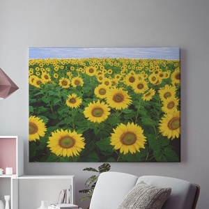 Tablou Canvas Camp De Floarea Soarelui