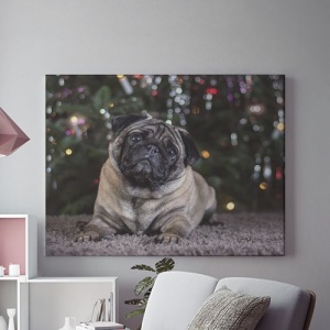 Tablou Canvas Curious Puppy