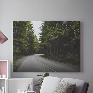Tablou Canvas Drum Prin Padure