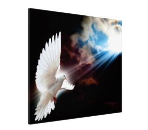 Tablou Canvas Efect Pictura - Porumbel - Img 3