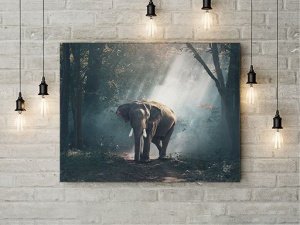 Tablou Canvas Elefant Ratacit - Img 3